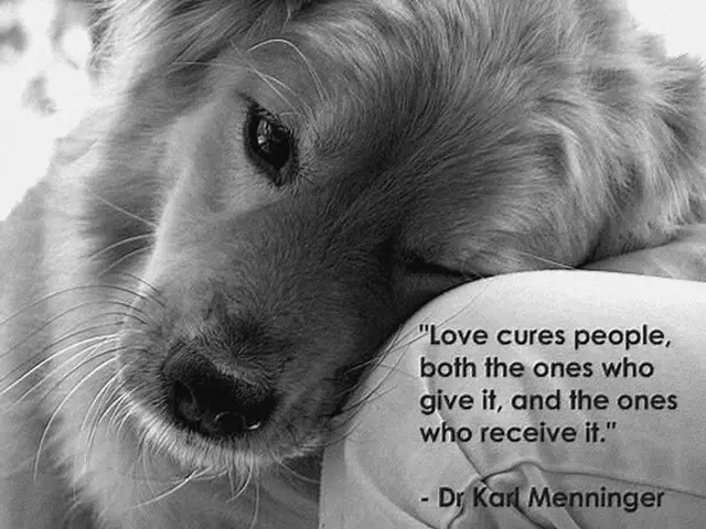 love quote karl menninger Love Quote “Love cures people, both the ones who 