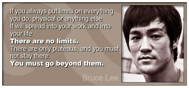 Bruce Lee Limits