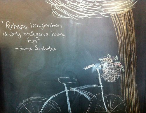 imagination is only intelligence having fun