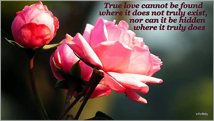 true love quote